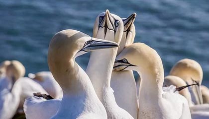 真人版吕布！近距离观看阿隆-戈登训练 外线三分手拿把攥